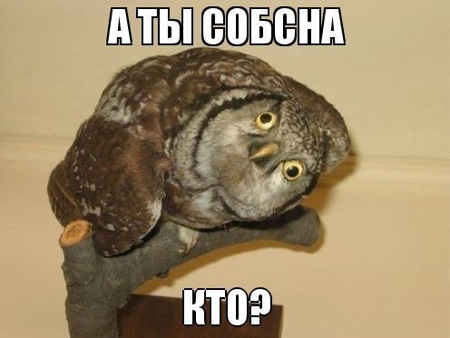 Олег Пинчук | Алешки / Цюрупинск