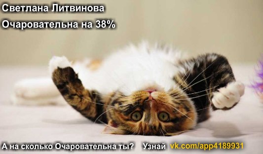 Светлана Литвинова Александровна | Москва