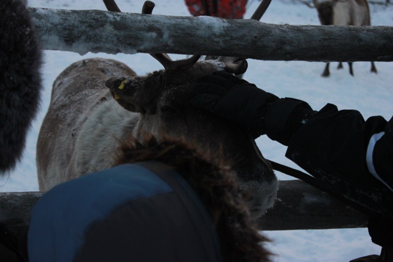 Андрей Прокопченко | Сургут