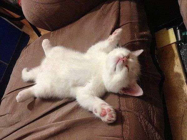 Женечка Смирнова | Харцызск