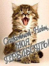 Карина Маркова | Слоут