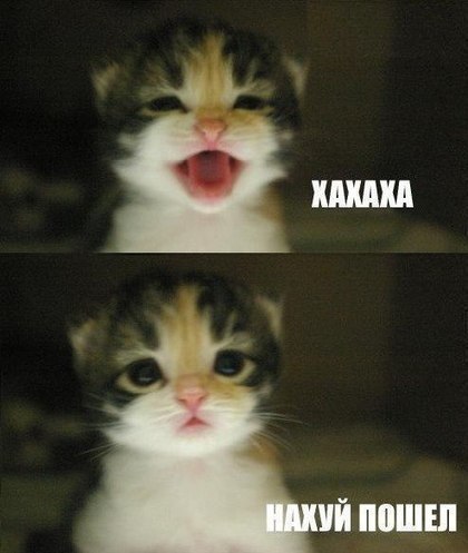 Ксения Карелина | Челябинск