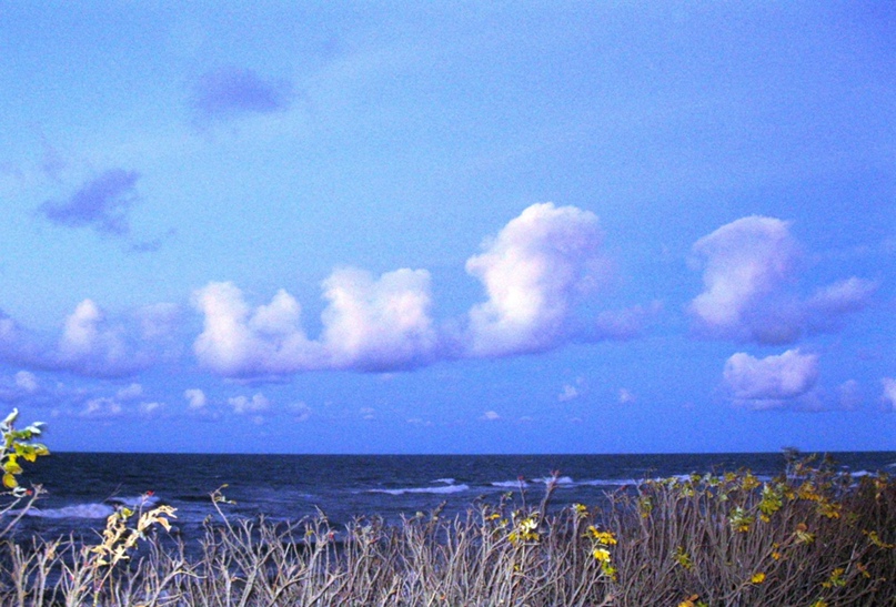 Елена Величко | Санкт-Петербург