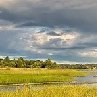 Екатерина Велиева | Кичменгский Городок