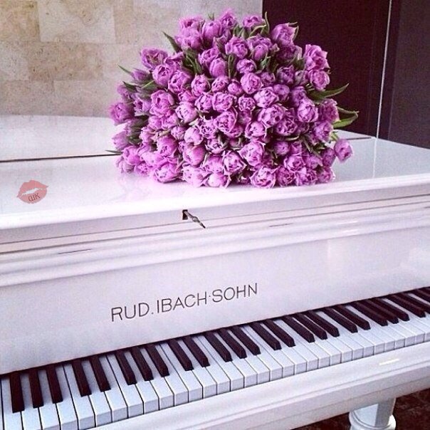 Алёна Кустова | Тюмень