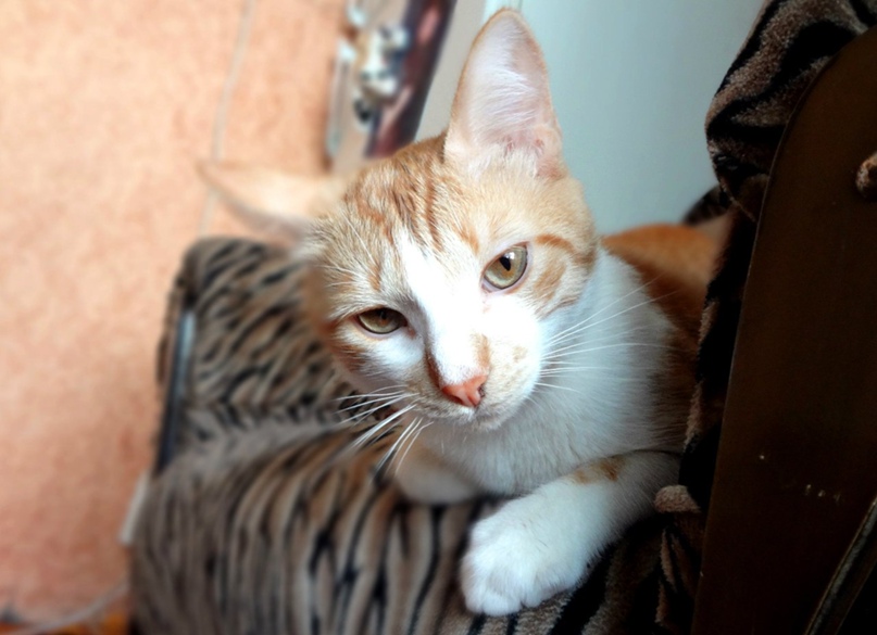 Анастасия Колядина | Смоленск