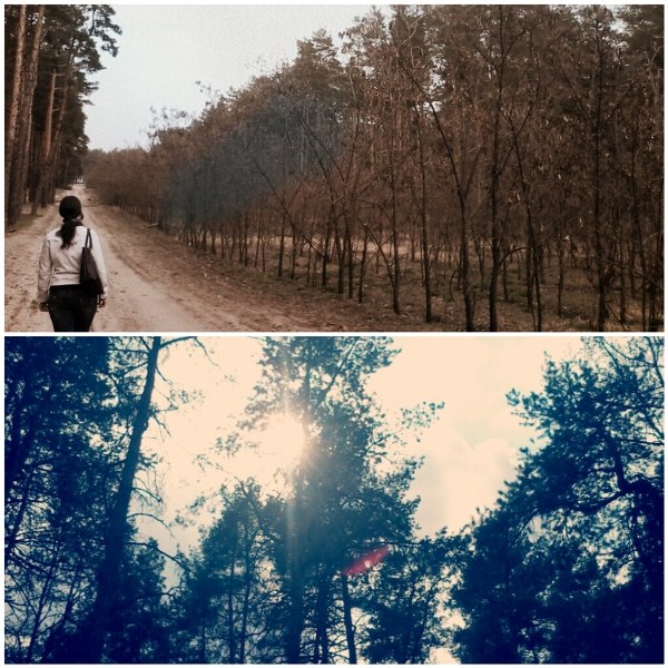 Анна Щёголева | Павловск