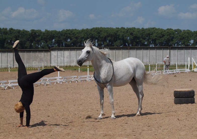 Алёна Сокольникова | Киев