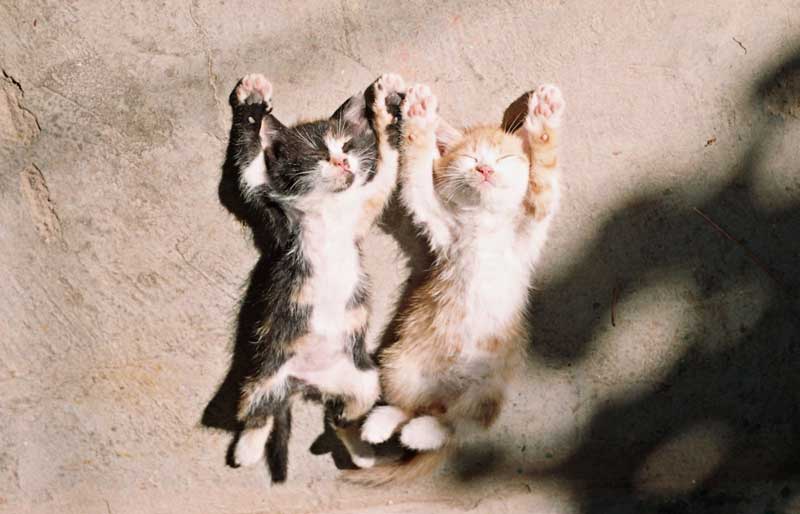 Мария Никитенко | Волжский