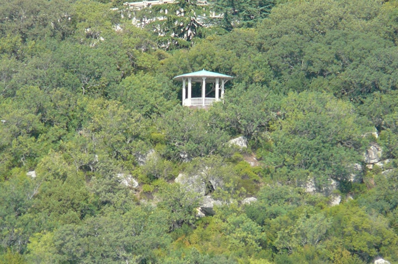 Виталий Терентьев | Санкт-Петербург