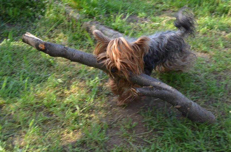 Александра Медведева | Одесса