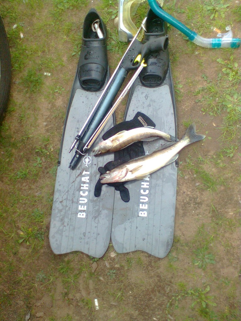 Семен Щербаков | Самара