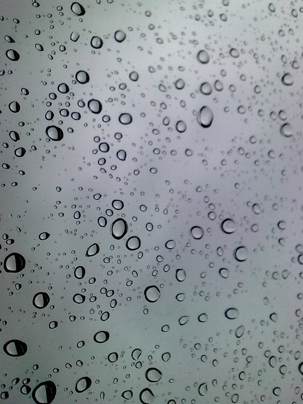 Илья Буторин | Краснодар