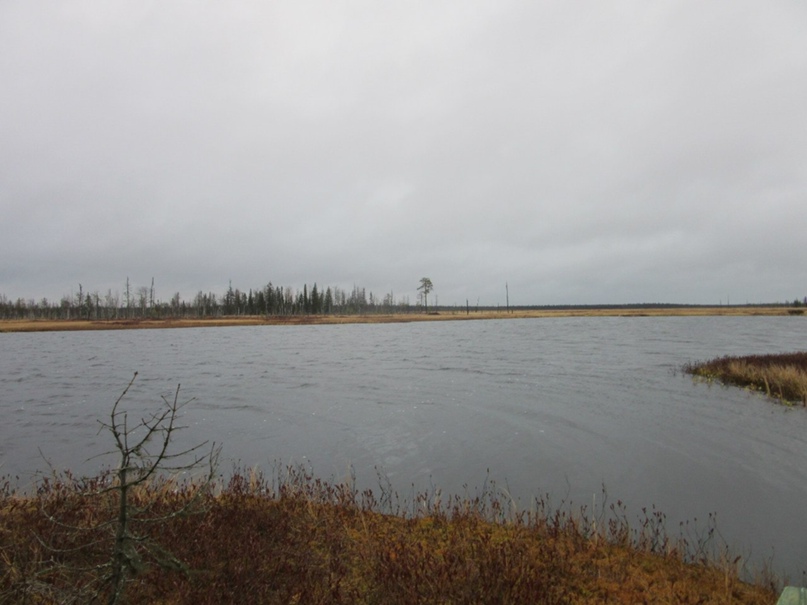 Андрей Кузнецов | Ухта