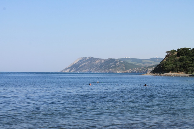 Ольга Решетник | Санкт-Петербург