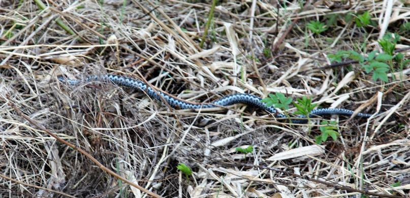 Татьяна Серкова | Вологда