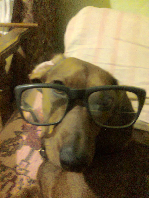 Ирина Приймак | Гребенка