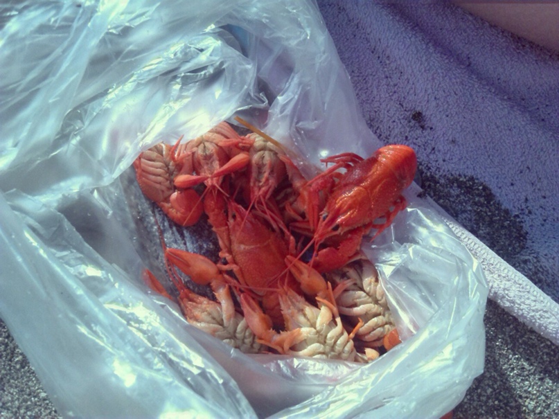 Мария Пермякова | Пермь