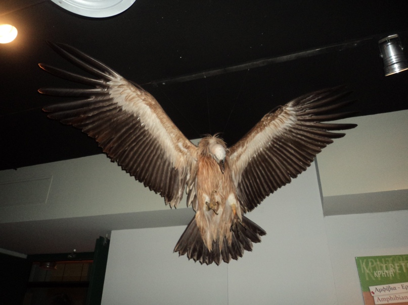 Марина Кольцова | Воронеж