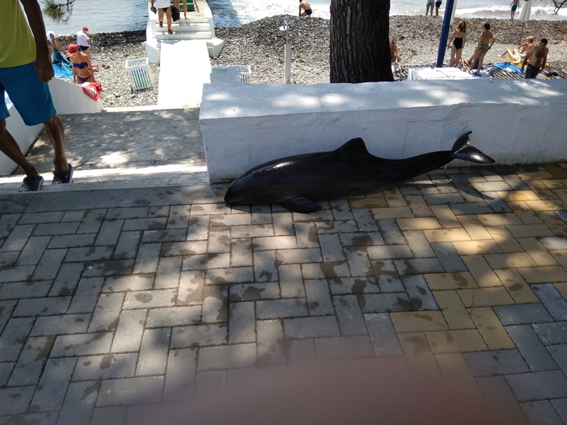 Анатолий Лобанов | Краснокамск