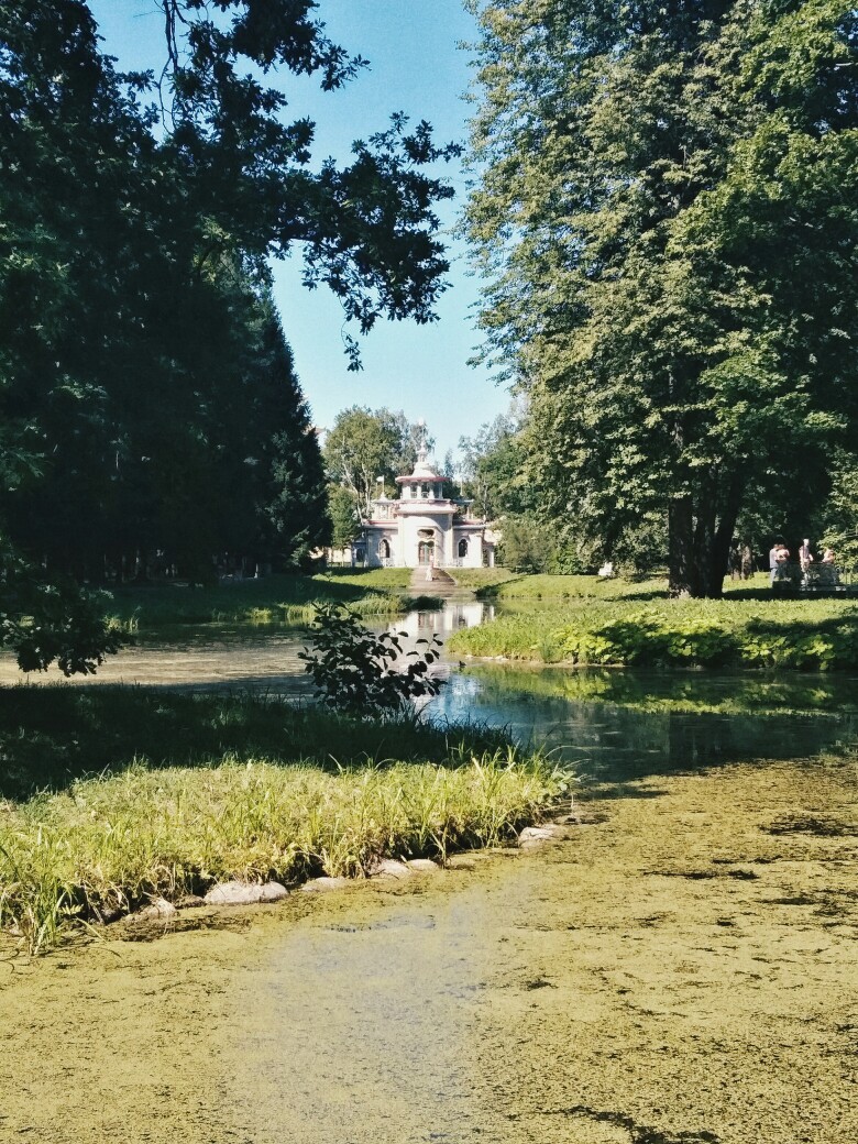 Надя Захарова | Дзержинск