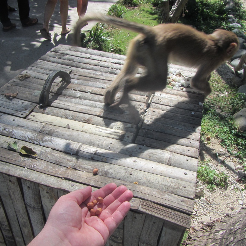 Олег Кузнецов | Москва