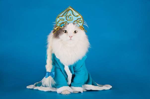 Екатерина Андреева | Санкт-Петербург