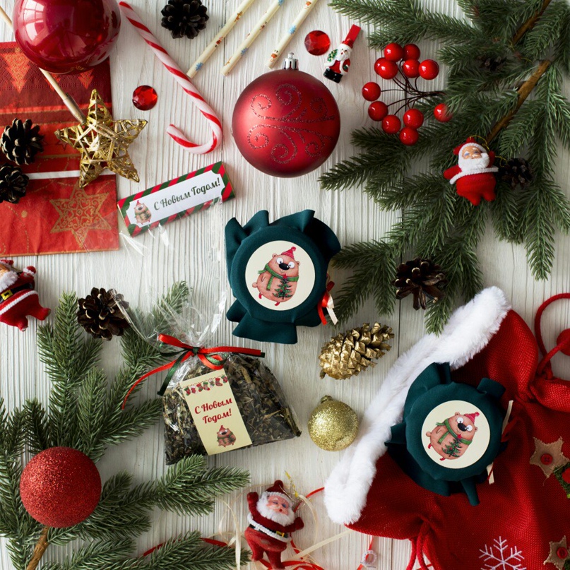 Анна Боброва | Тюмень