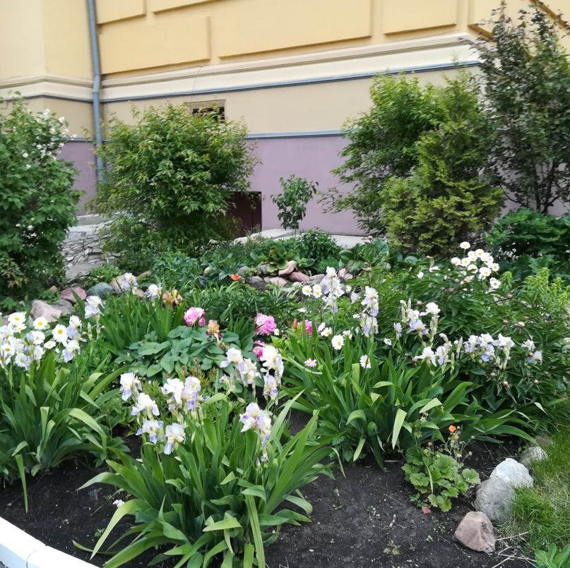 Марина Молоткова Борисовна | Нижний Новгород