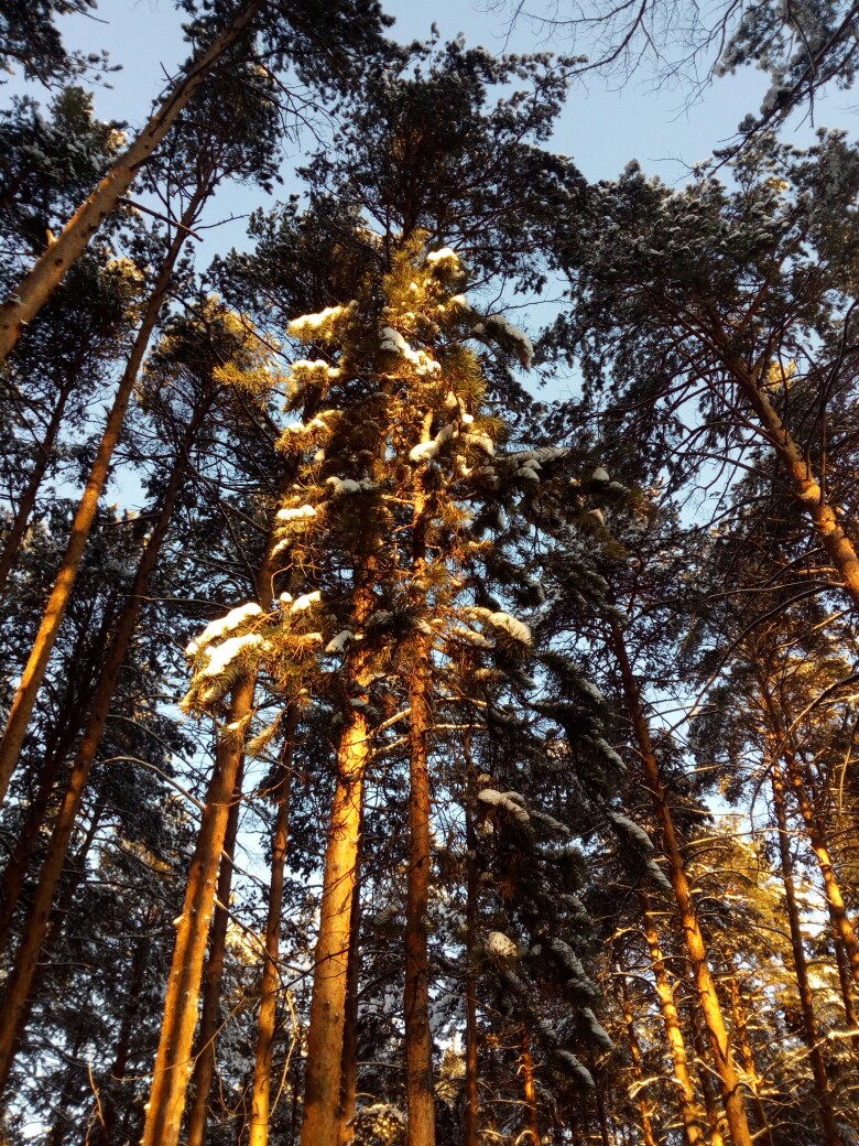 Яна Ефремова | Челябинск