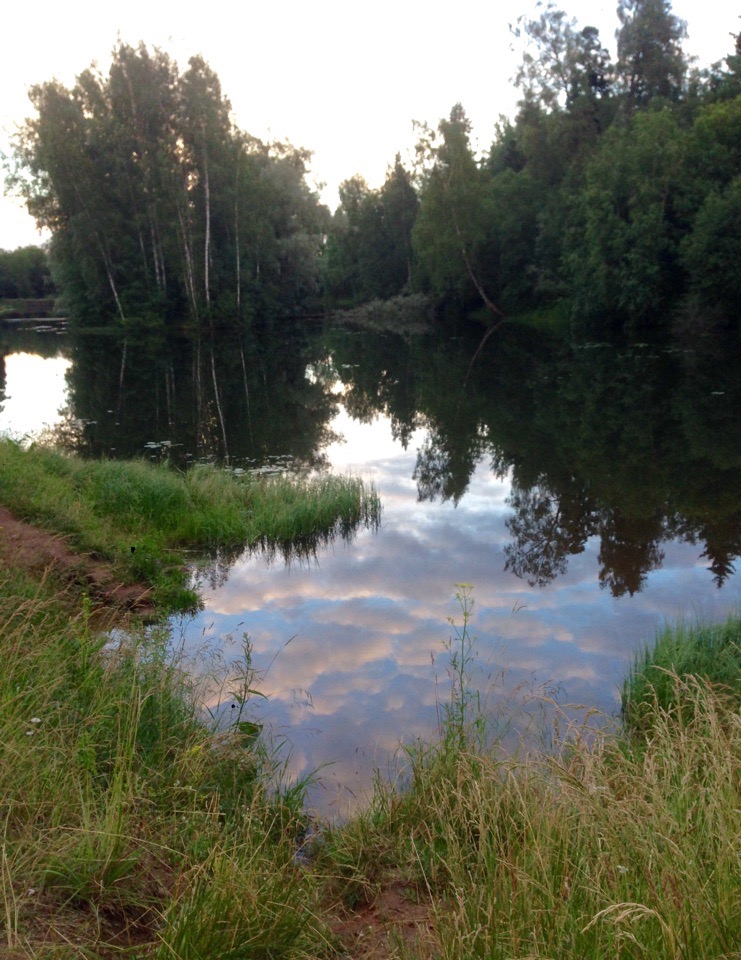 Анна Меньшикова | Гатчина