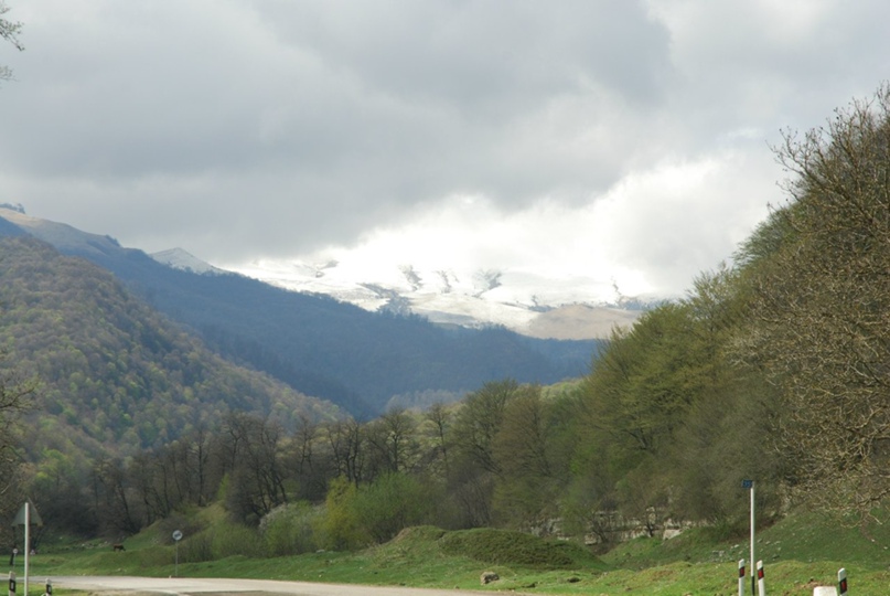Павел Лазарев | Мариинский Посад