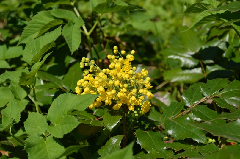 Андрей Писаревский | Казань