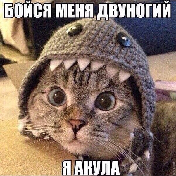 Любовь Ким ♥♥♥♥ | Южно-Сахалинск