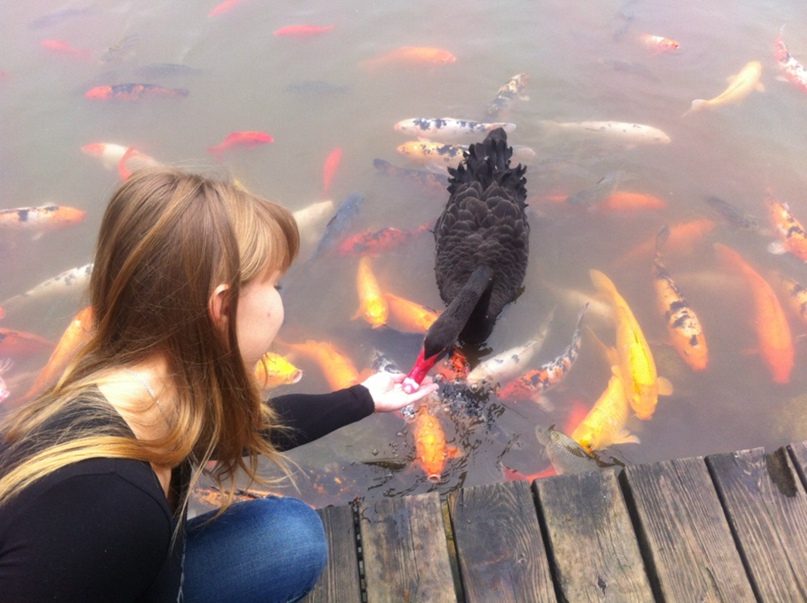 Света Алексеева | Самара