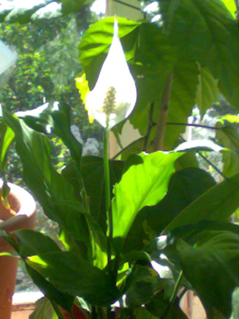 Екатерина Смольникова | Тольятти