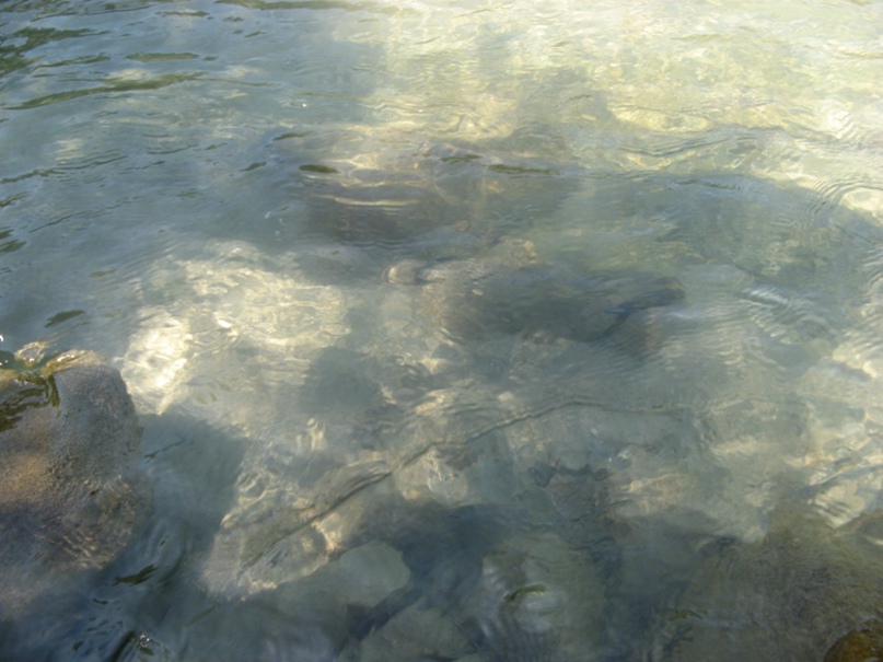 Александр Мущинкин sedoj1966 | Йошкар-Ола