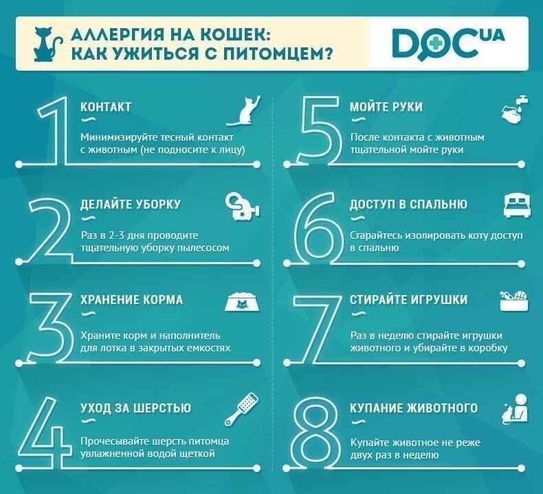Помогите советом. У кошки аллергия??? - обсуждение на форуме НГС Новосибирск