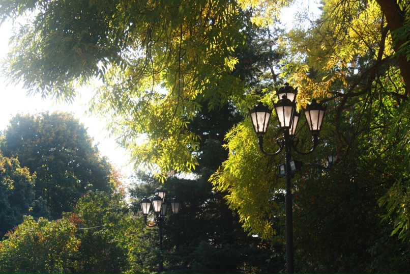 Александра Голубева | Великий Новгород