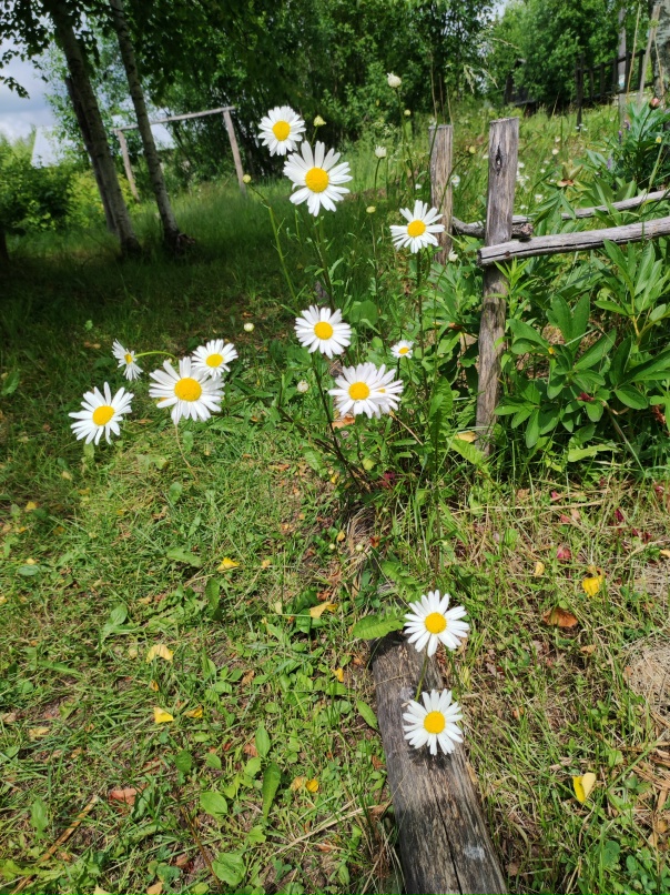 Наталия Мельникова | Ольгинка