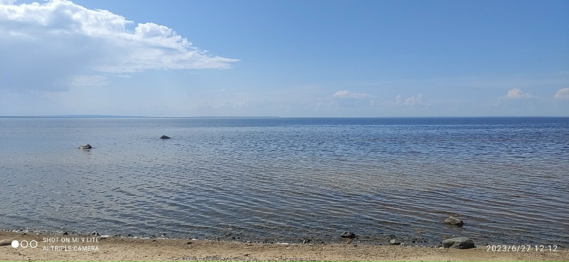 Игорь Вихарев | Ярославль