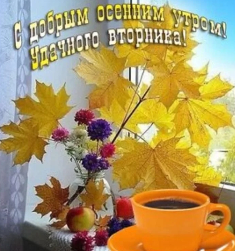 Pin by Julieta MG on Pensamientos Rosehip tea, Autumn tea, Autumn rose Доброе утро картинки пожелания осенние сентябрь вторник Доброе утро картинки пожелания осенние сентябрь вторник Доброе утро картинки пожелания осенние сентябрь вторник Доброе утро, дорогие односельчане! Сегодня вторник, 7 ноября. И сегодня праздную