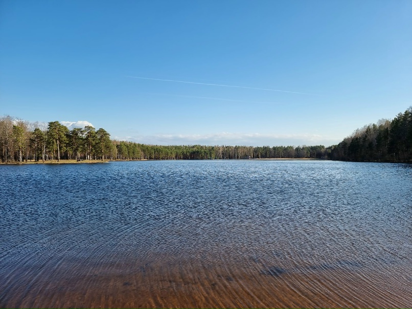 Любовь Набатова | Санкт-Петербург