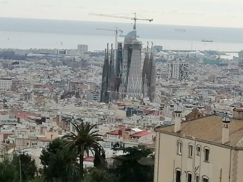 Алексей Рожко | Минск