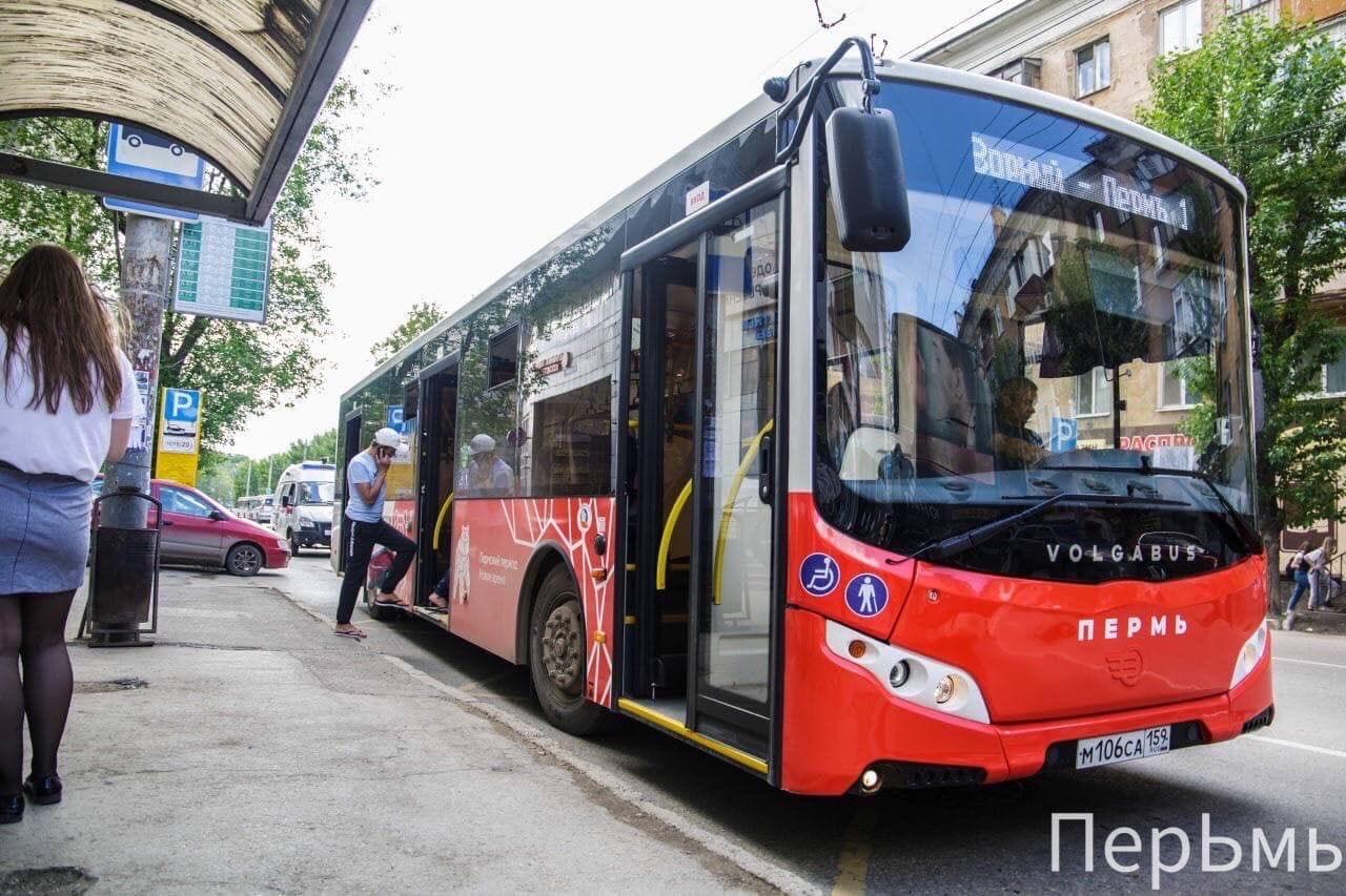 автобус москва пермь
