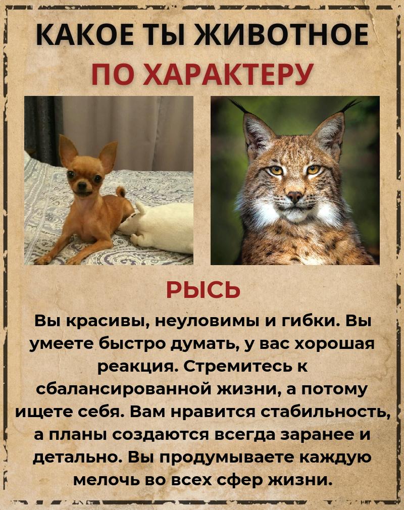 Александр Арапов | Мурино