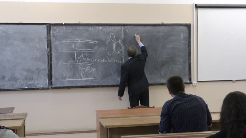 Асеев В. В. Молекулярная биология 7. Репарация