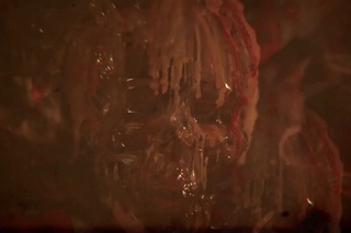 Crazy Bones - Delusions