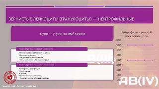 Причины понижения/повышения количества нейтрофильных зернистых лейкоцитов в