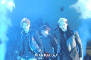 FANCAM 140321 seoul fashion week - EXO - Runway + EXO -  Growl (focus SEHUN)